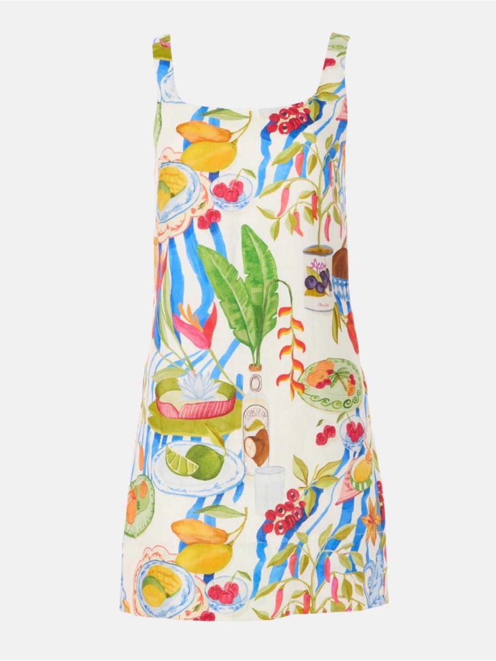 Farm-rio Women's multi Dress